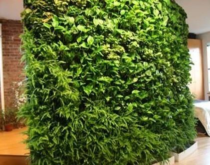 遵义立体绿化材料的植物搭配设计