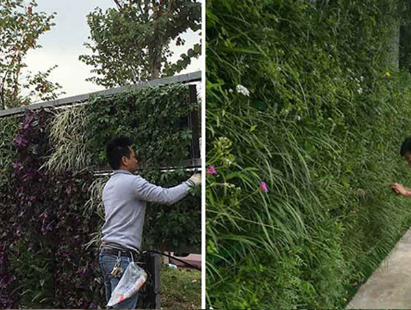 遵义立体绿化设计的核心原则