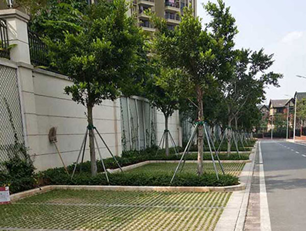 遵义植草砖的功能优势与实际应用 城市绿化铺装专用建材